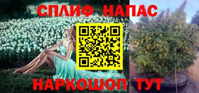 прущий лед Тара