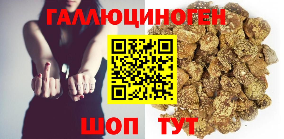Псилоцибиновые грибы Cubensis Новосибирск