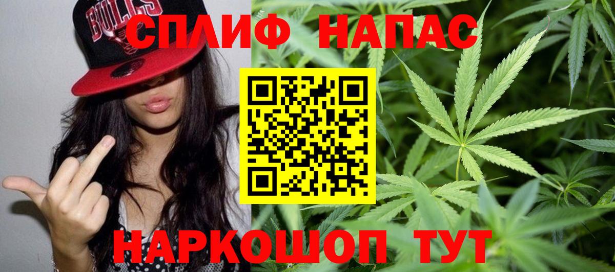 Канабис OG Kush Новосибирск